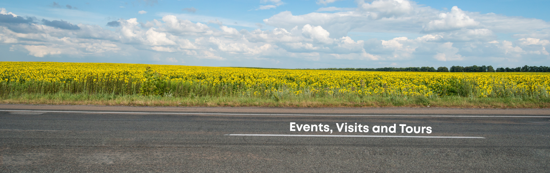 The Institute of Meat